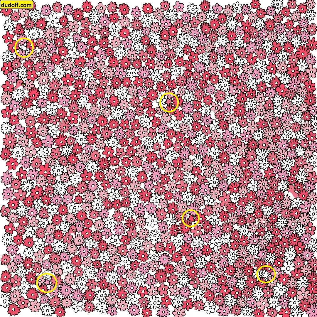 Pic Credit: Instagram/thedudolf