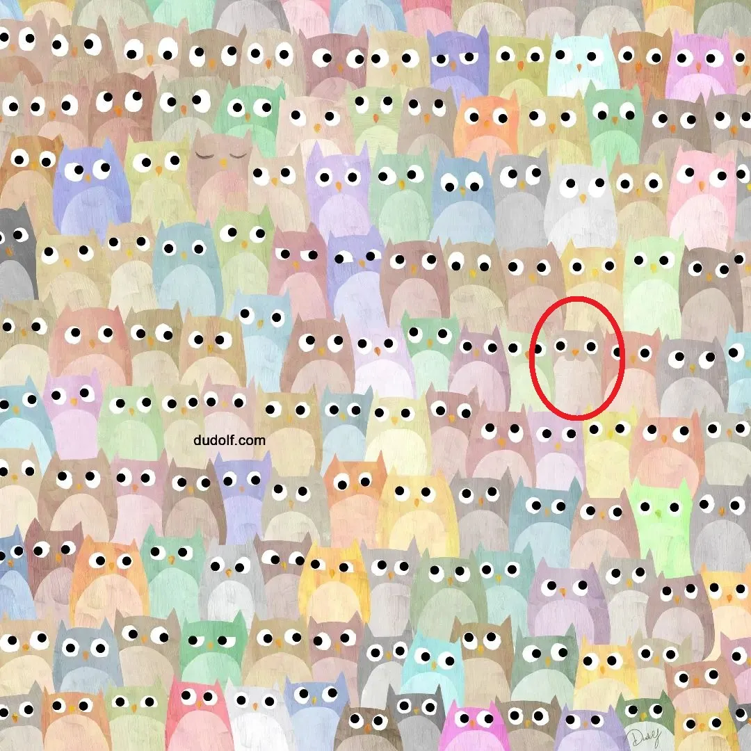 Image courtesy: Instagram/thedudolf 