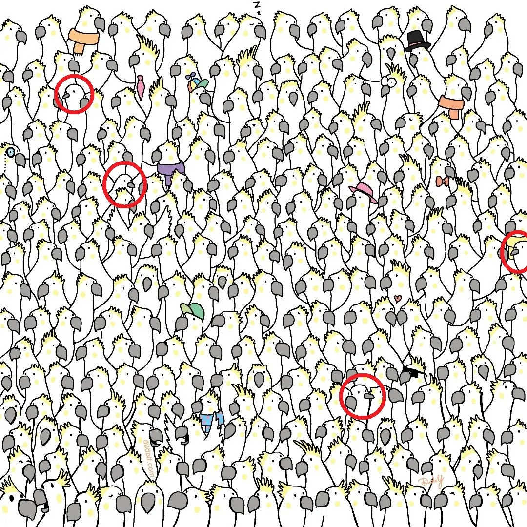 Pic Credit: Instagram/thedudolf