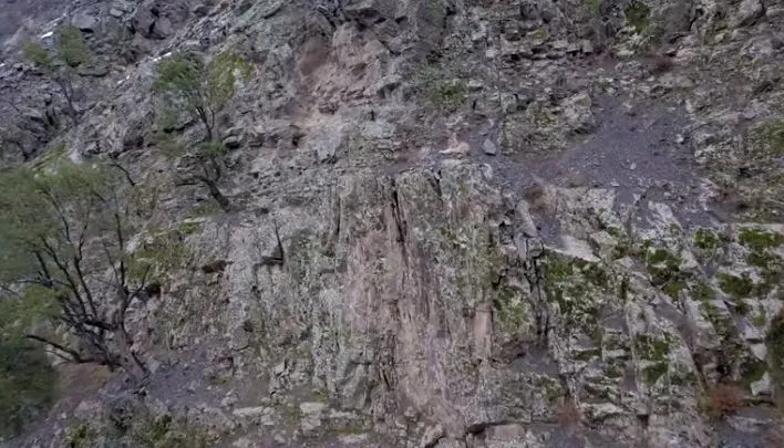 Pic Credit: Instagram/thedudolf