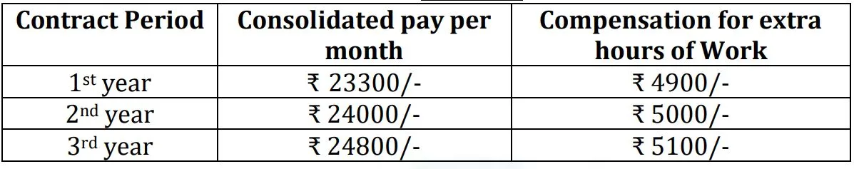 Pay Scale