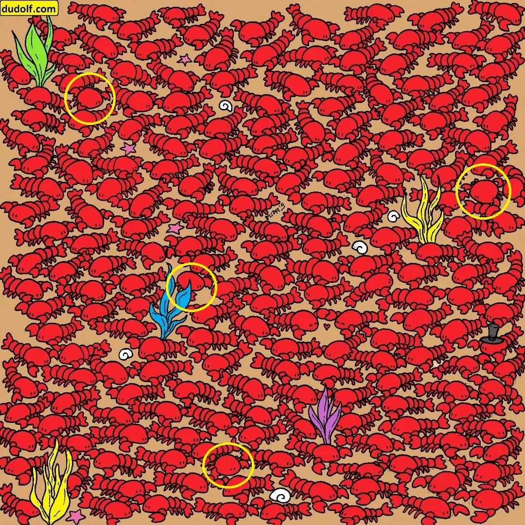 Pic Credit: Instagram/thedudolf