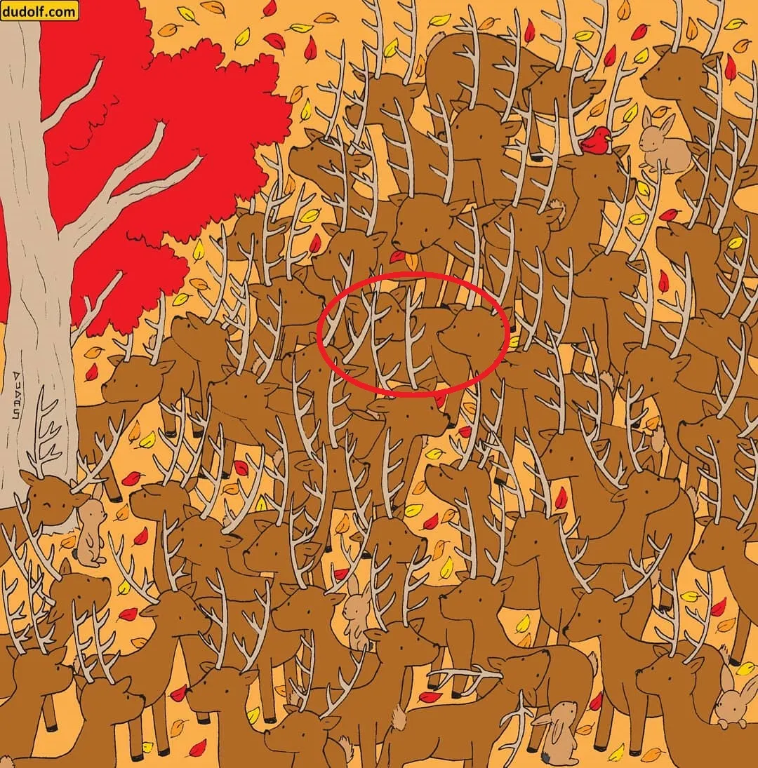 Pic Credit: Instagram/thedudolf