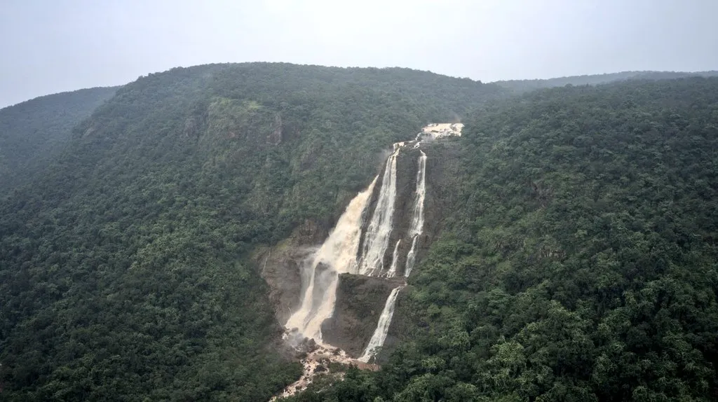 Source: Twitter - Odisha Forest Department
