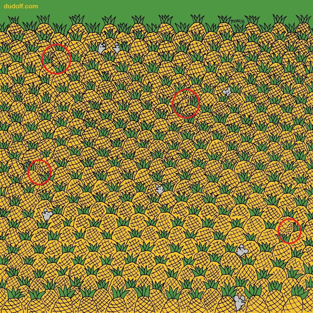 Pic Credit: Instagram/thedudolf