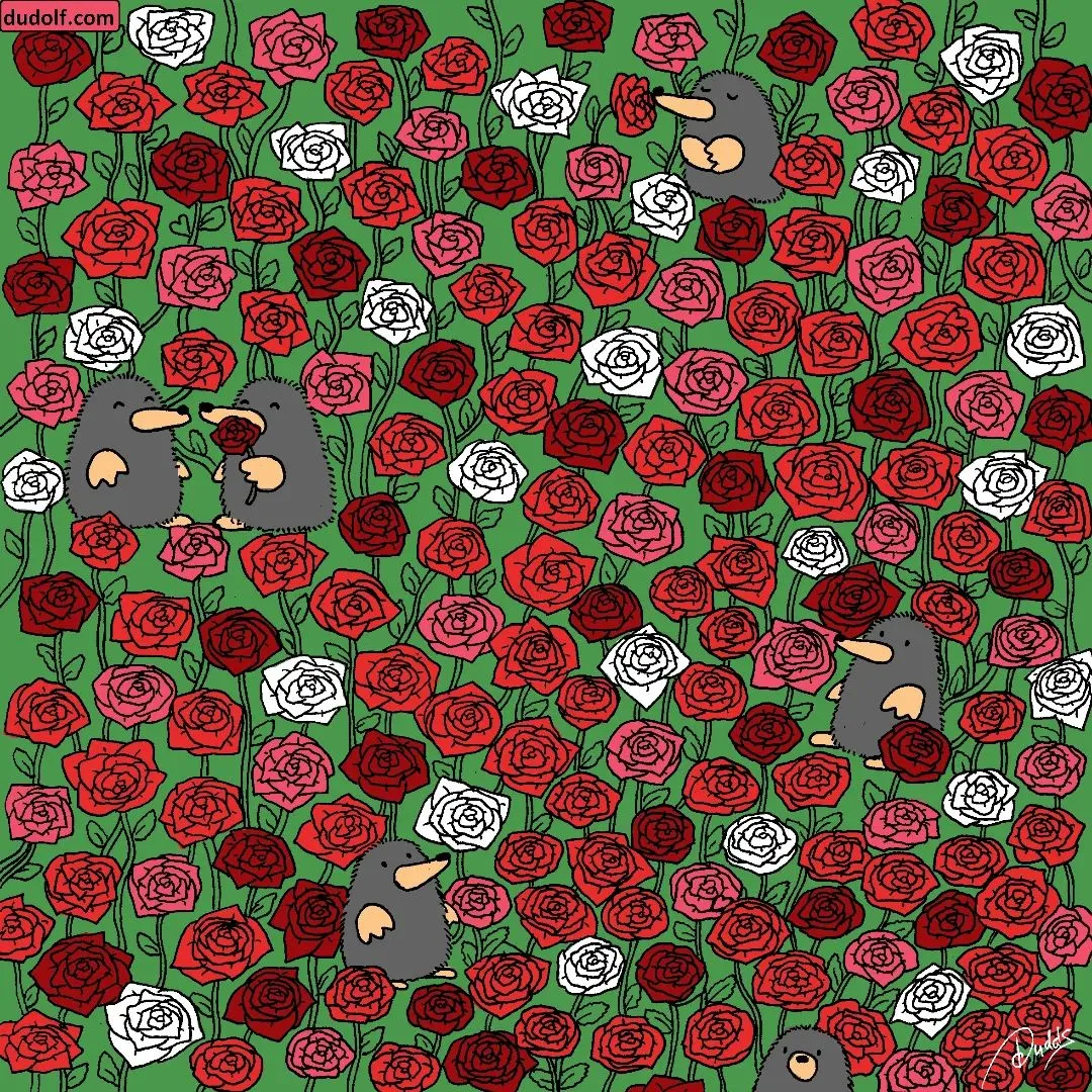 Pic Credit: Instagram/thedudolf