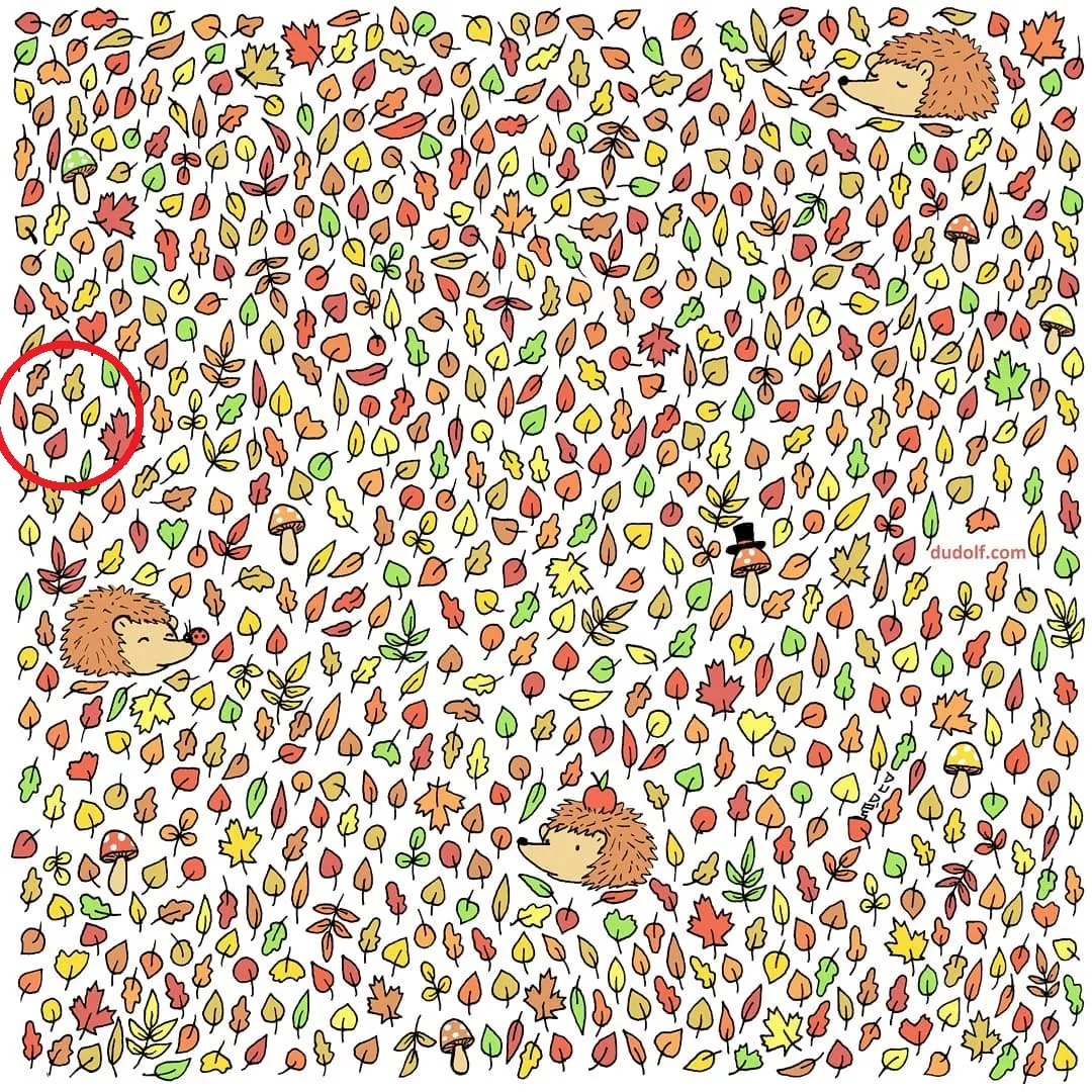 Pic Credit: Instagram/dudolf