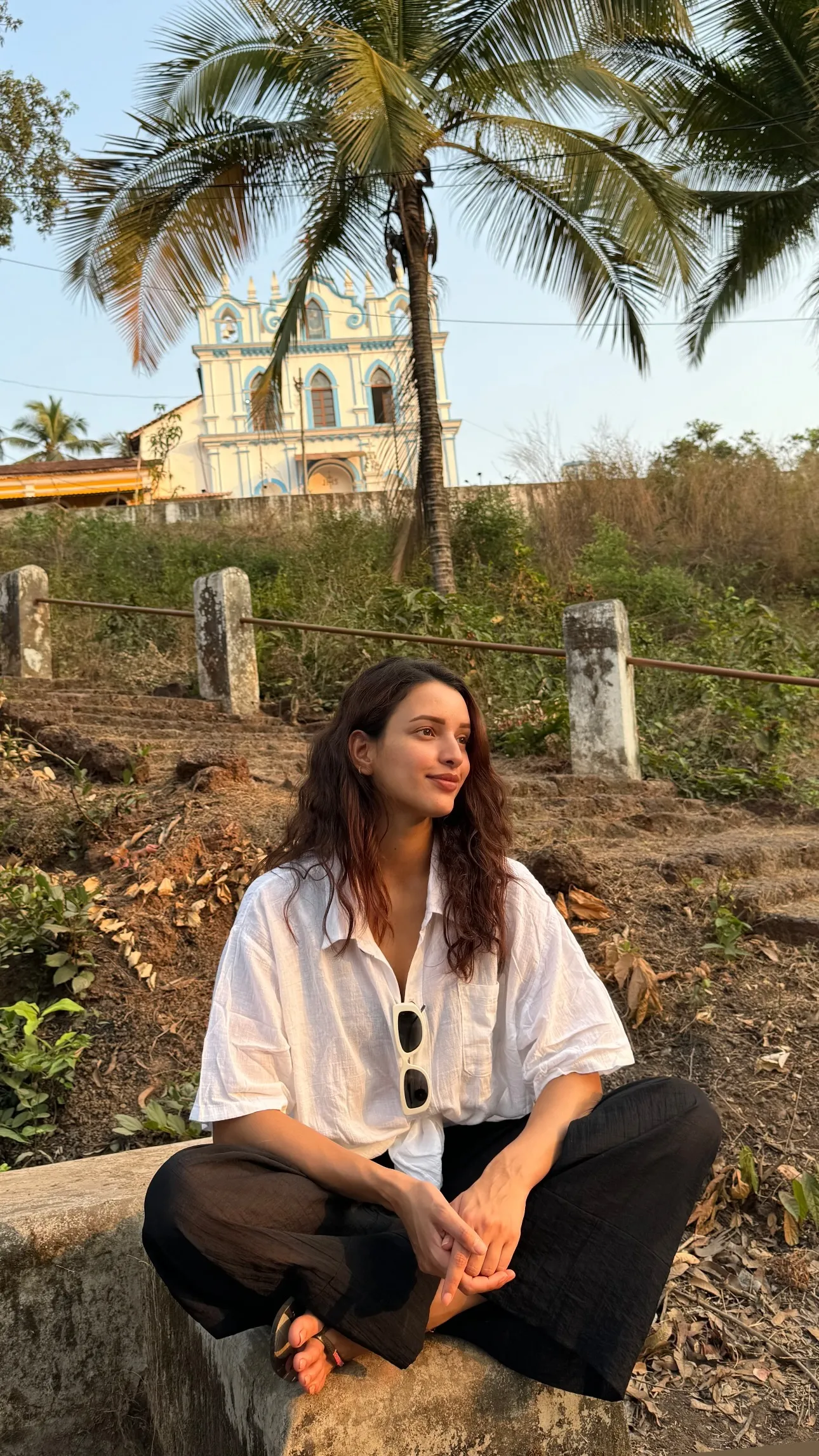 Triptiis Insta Story