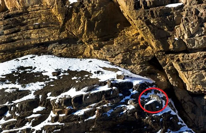 Pic Credit- Hira Punjabi