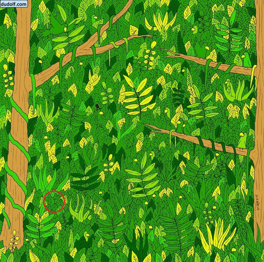 Pic Credit: Instagram/thedudolf