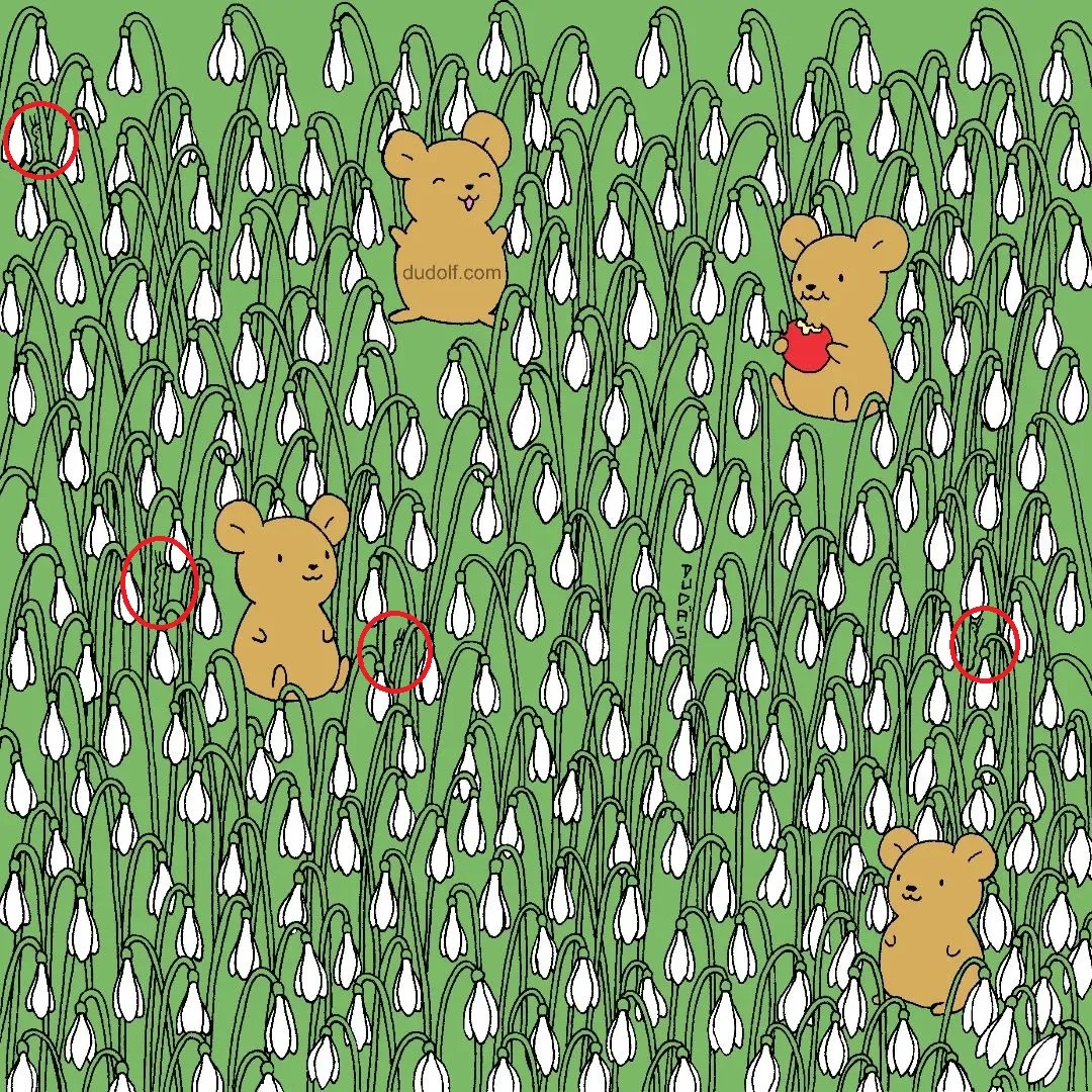 Pic Credit: Instagram/thedudolf