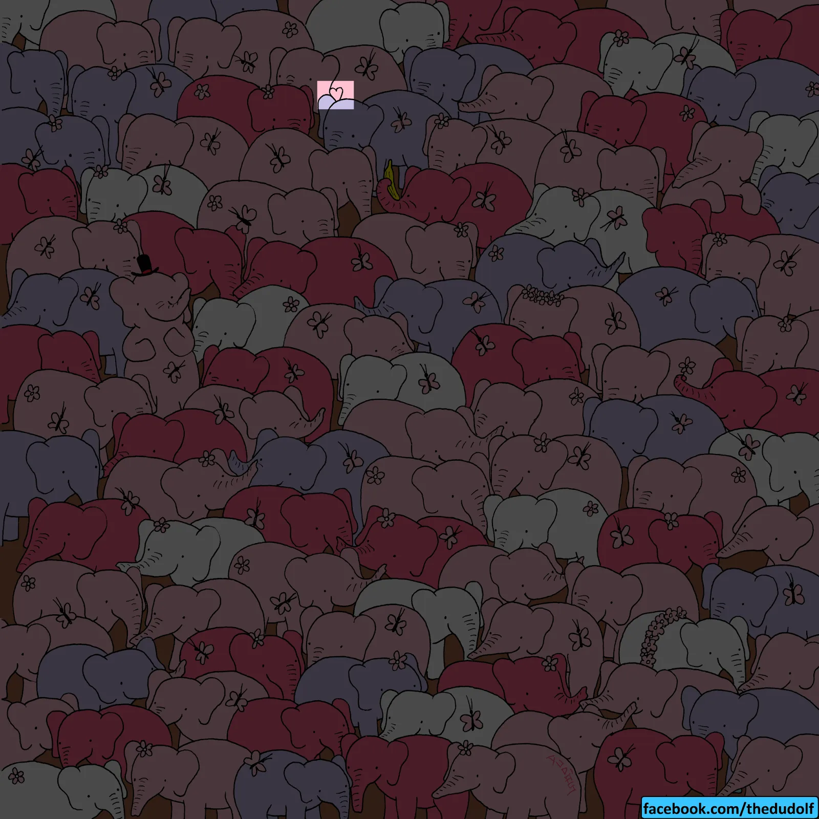 Pic Credit: Gergely Dudas