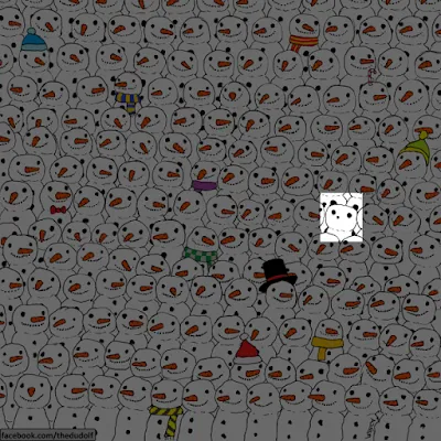 Pic Credit: Gergely Dudas