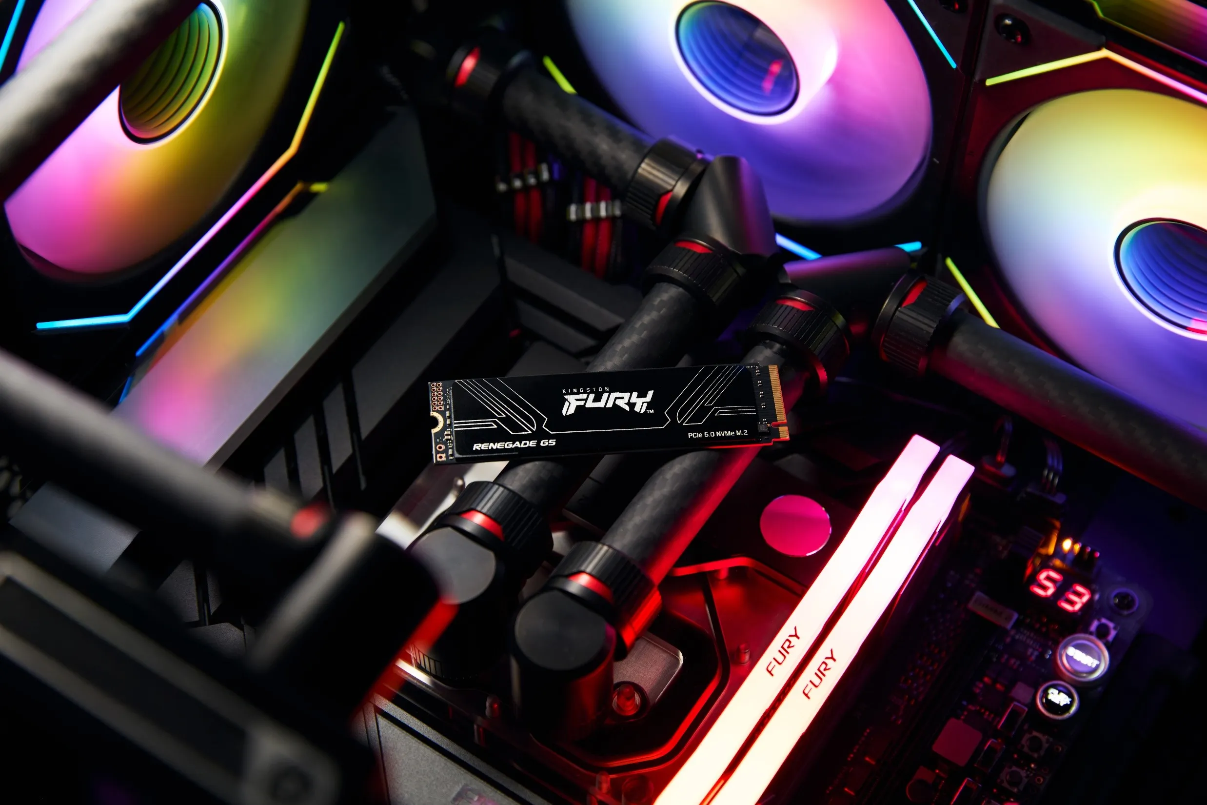 Kingston FURY Renegade G5 SSD 04