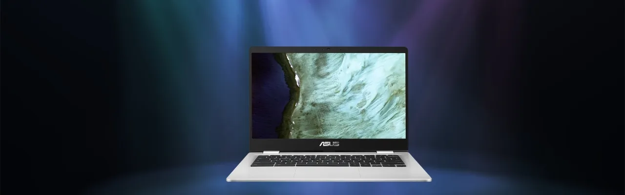 ASUS Chromebook C423NA-BZ0523