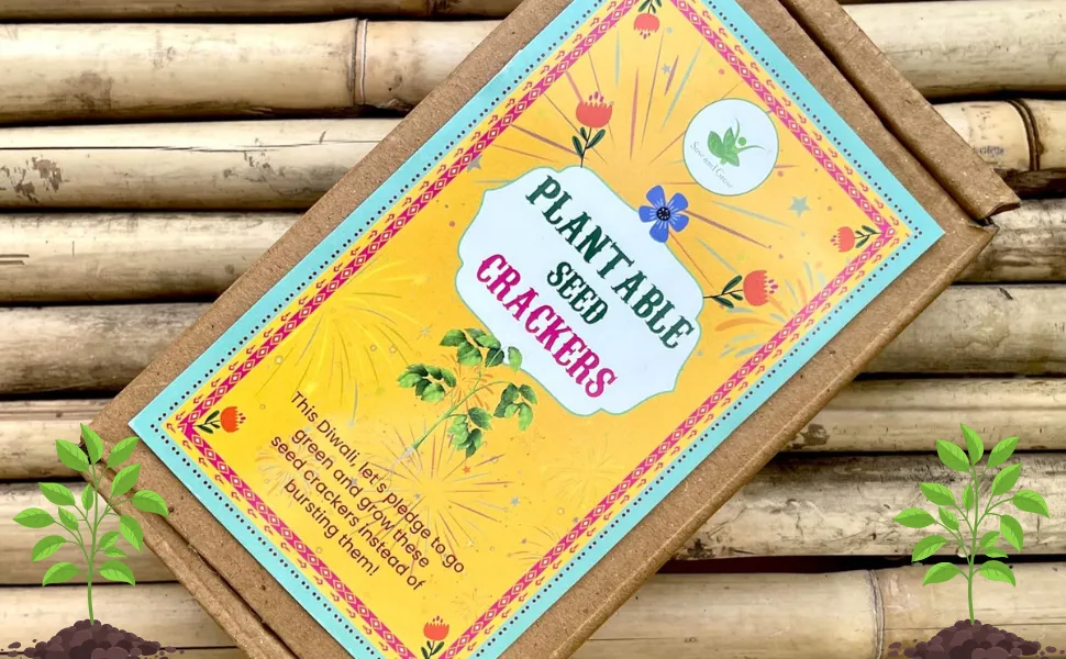 Sow and Grow Plantable Seed Crackers | Set of 5 Diwali Themed Seed Bombs |  Beej Pataka | Diwali Seed Balls : Amazon.in: Garden & Outdoors