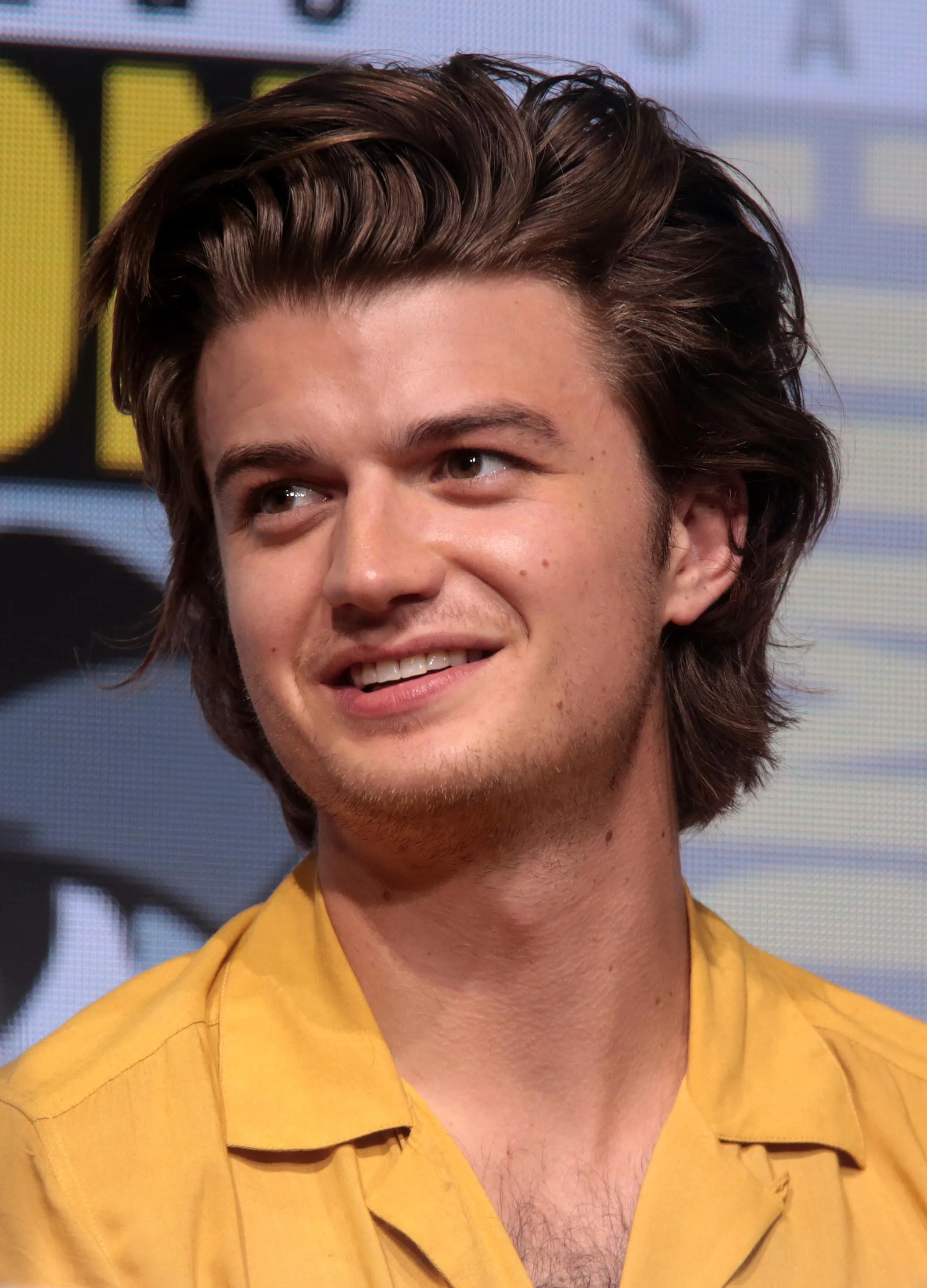 Joe Keery - Wikipedia