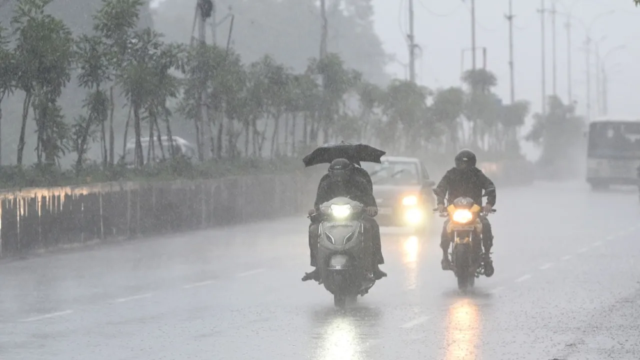 Rains