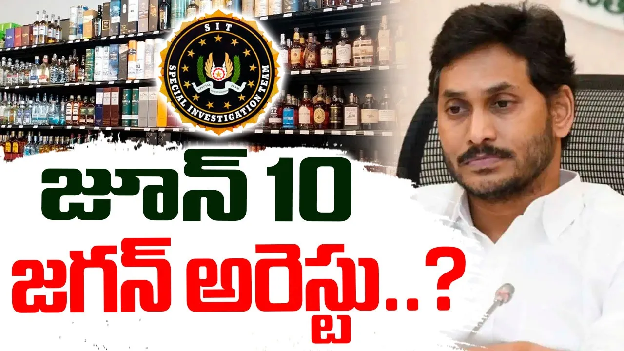 YCP Chief Jagan Will be Arrested by June 10, Says Vijaya Sai Reddy 