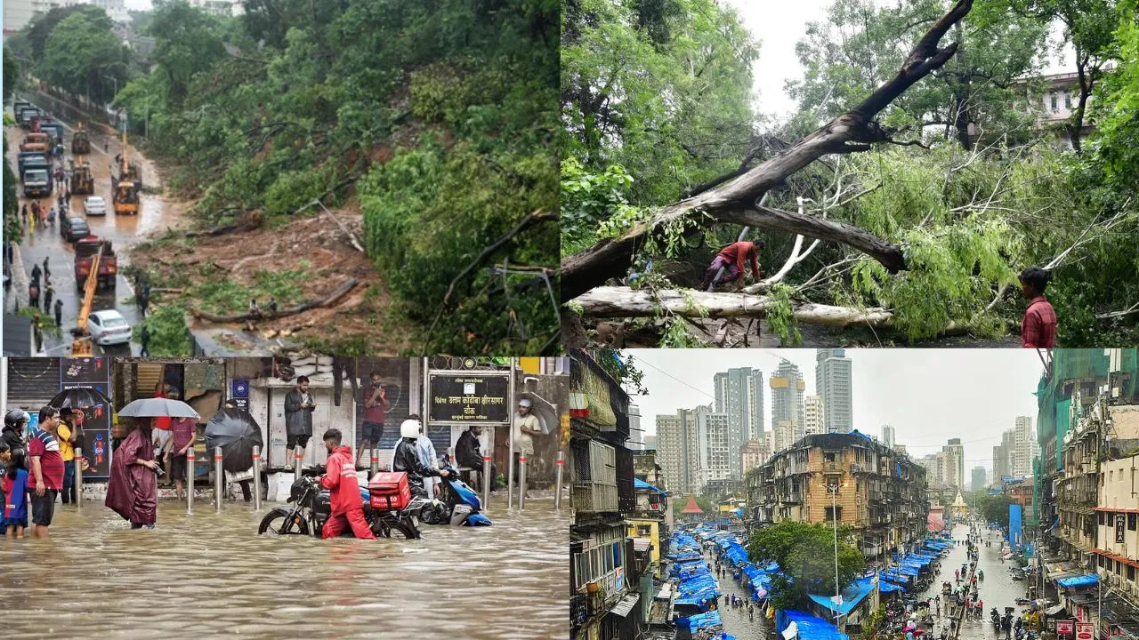 Maharashtra due to 5 days of heavy rains 16 people died