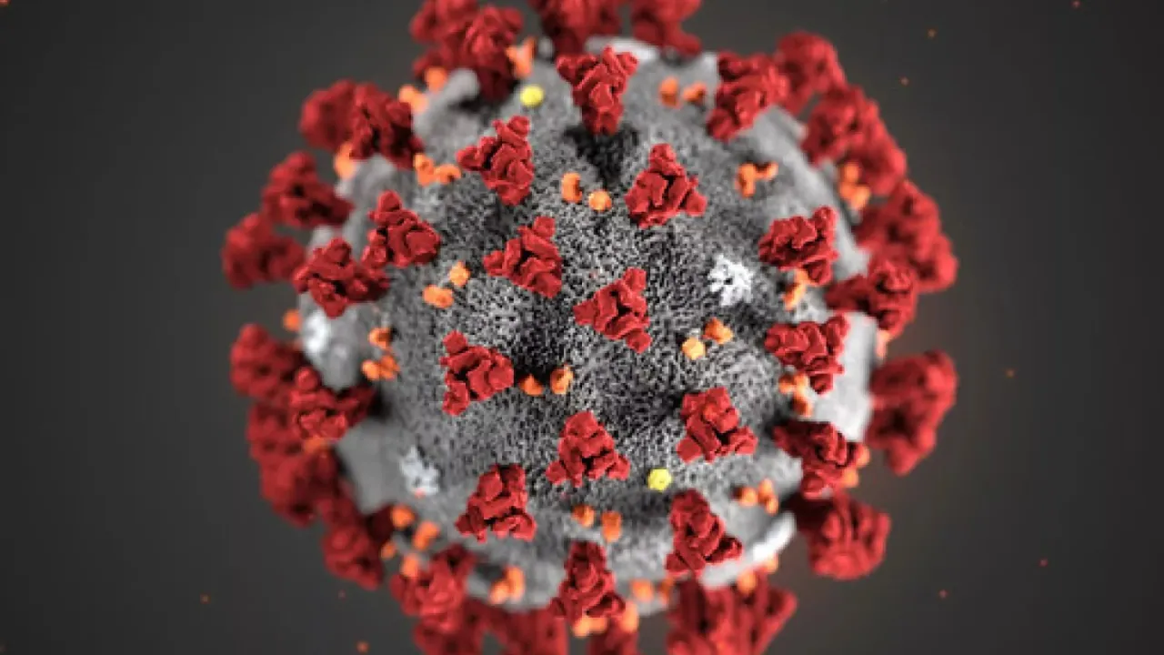 India reports 4 Covid-19 deaths in 24 hours, active cases rise to 5,364