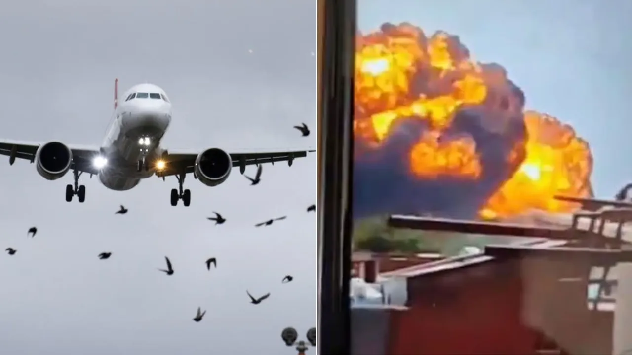 Air India plane crash may have occurred due to bird hits or major technical fault, say experts