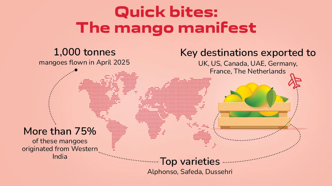 Air India Celebrates Mango Season