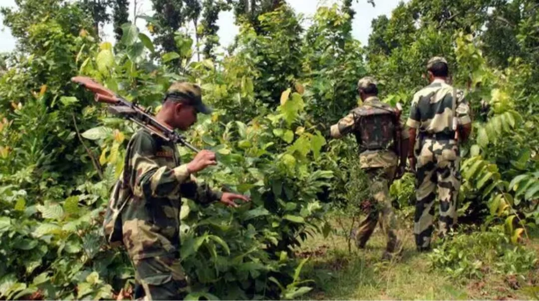 Maoists killed