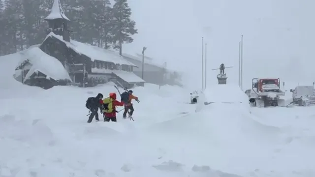 News Article Hero Image