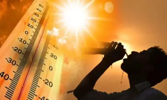 News Article Hero Image