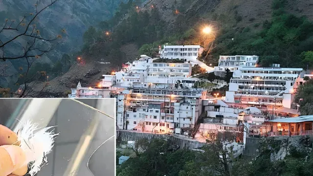 News Article Hero Image