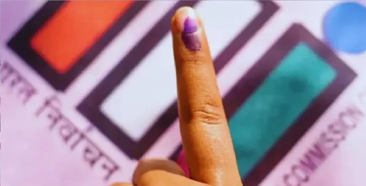 election