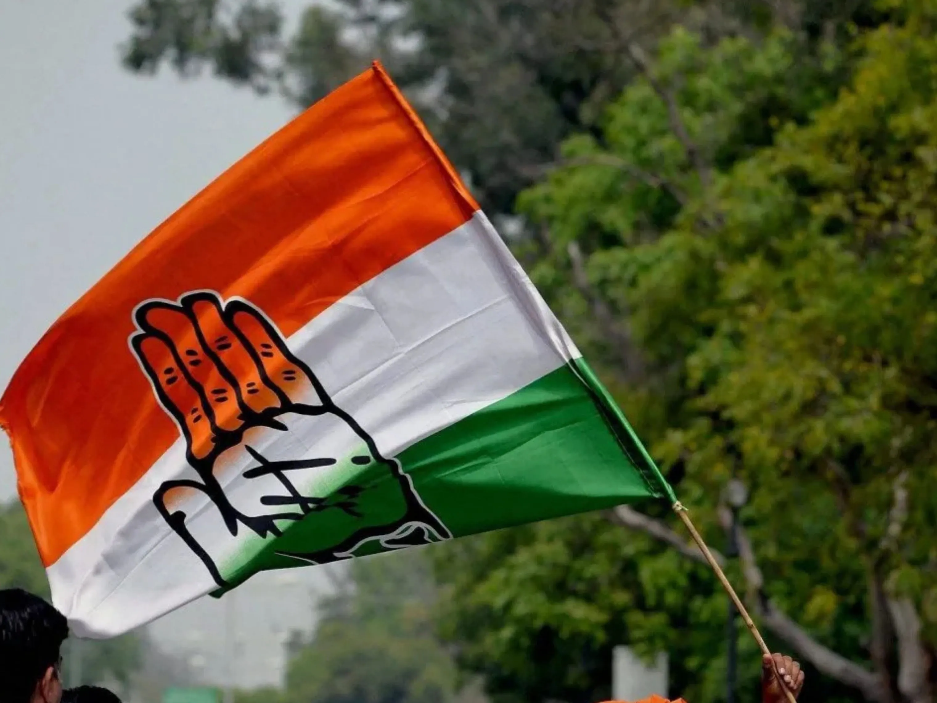 congress flag
