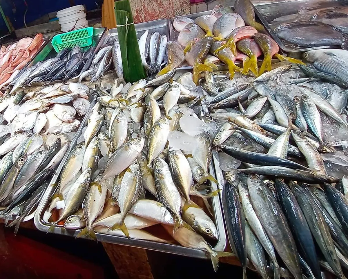 fish stall