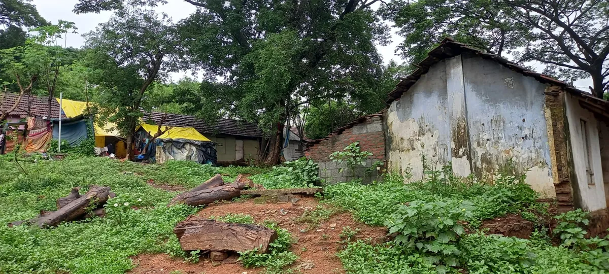 malambuzha sp laine-3