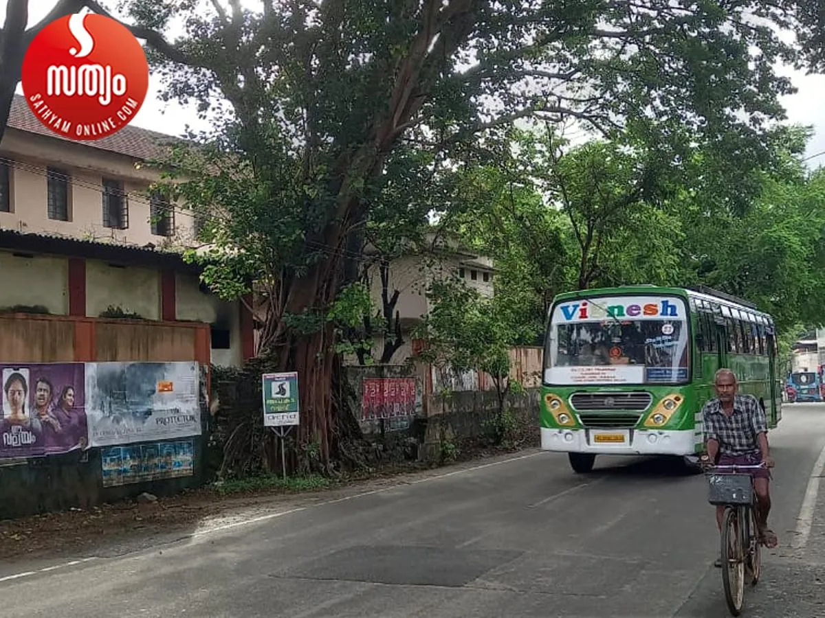 bannyan tree is in dangerous condition