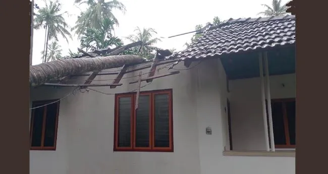 കോ​ഴി​ക്കോ​ട്ട് മി​ന്ന​ല്‍ ചു​ഴ​ലി; വീ​ടു​ക​ള്‍ ത​ക​ര്‍​ന്നു; വ​ന്‍ നാ​ശ​ന​ഷ്ടം