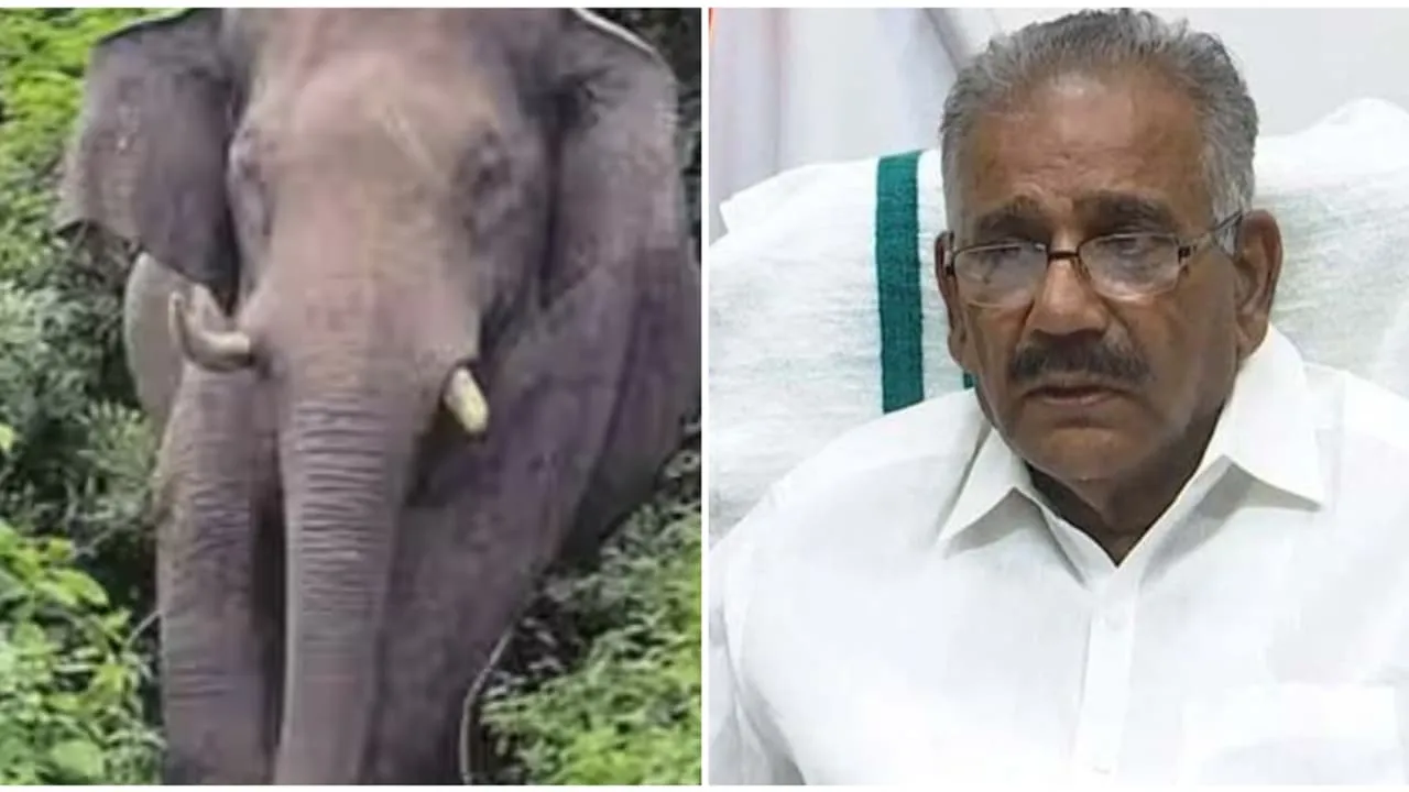ആറളം കാട്ടാന ആക്രമണം; ആനമതിൽ നിർമ്മാണം പെട്ടെന്ന് പൂർത്തിയാക്കാൻ  മന്ത്രിയുടെ നിർദേശം | Aaralam Wild Elephant Attack Minister S Instruction  To Complete Construction Of Elephant ...
