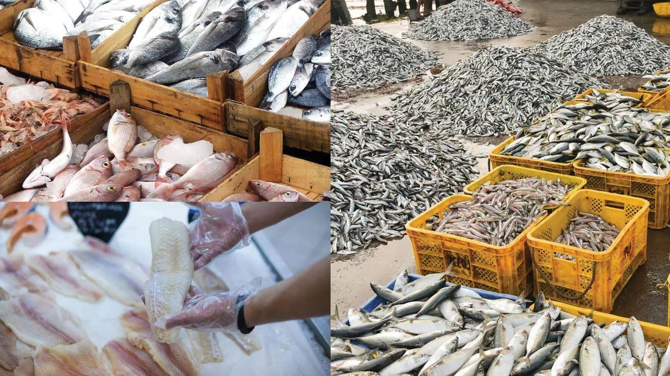 Govt Urges Seafood Exporters To Seek New Markets, Upgrade Value Addition  Amid US Tariff Hike