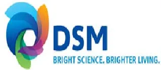 DSM Logo