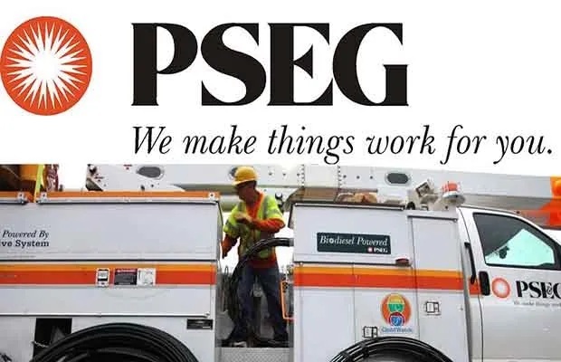 pseg image main