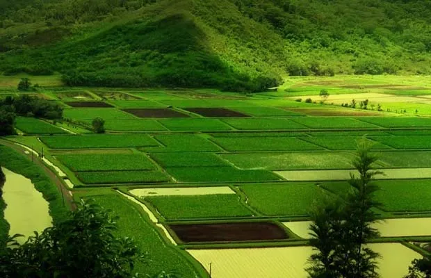 mizoram solar power plant