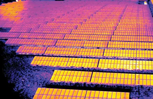 JinkoSolar 95 MW Solar