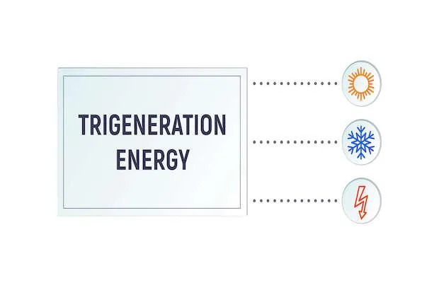 EESL Roundtable for Trigeneration in India