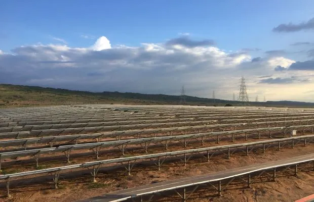 Reva Solar Plant by Sprng