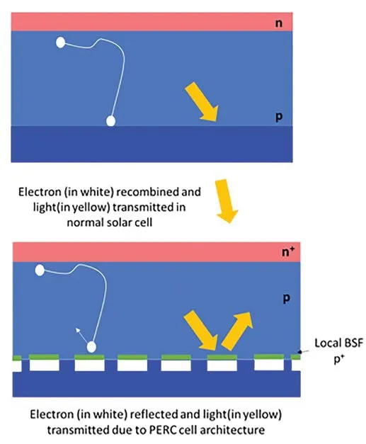 A typical structure of PERC cells (Source: Waaree Energies)