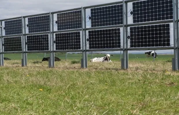 Solar Plant NISE
