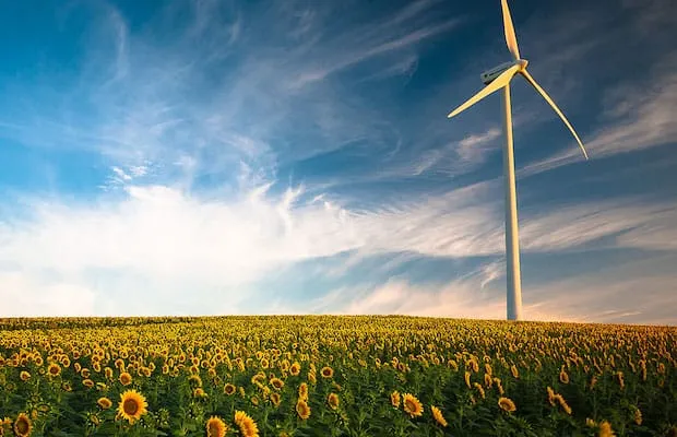 Europe Wind Investments 2019