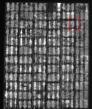 Fig. Moisture ingression