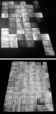 Figs. EL Images before & after reversal
